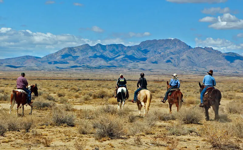 Trail riding near Kiva RV Park in the Rio Grande Valley, New Mexico