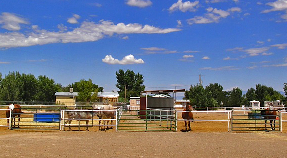Pipe Corrals
