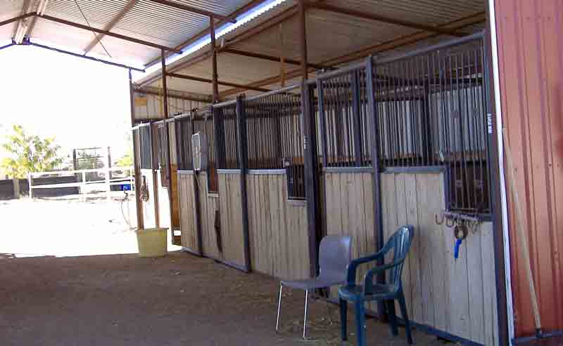 Open pens for multi-horse boarding